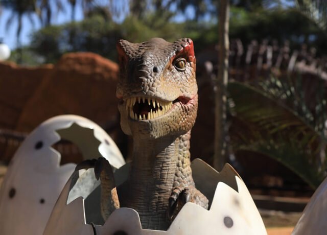 Vale dos Dinossauros