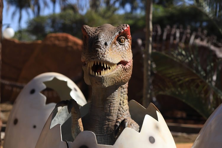 Vale dos Dinossauros